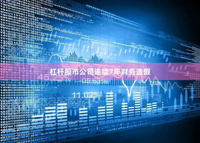 杠杆股市公司连续7年财务造假