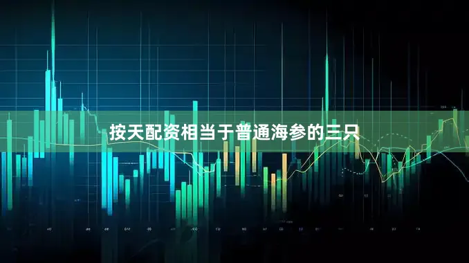 按天配资相当于普通海参的三只
