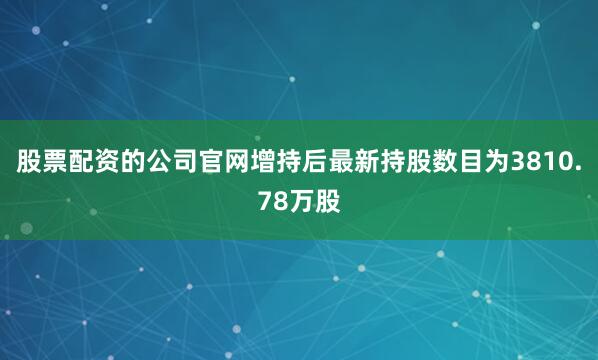 股票配资的公司官网增持后最新持股数目为3810.78万股